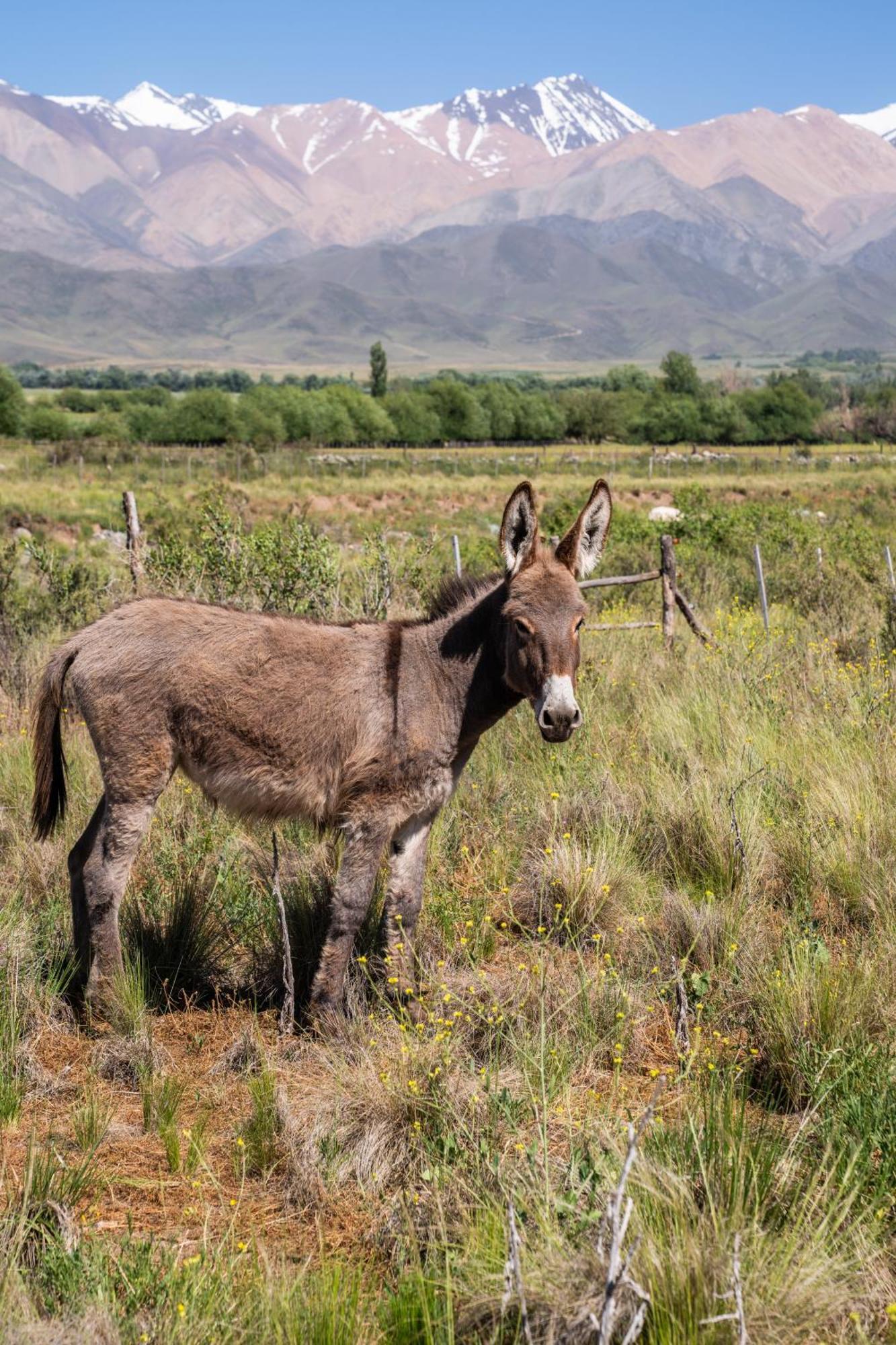 Homestay Rancho Adobe Eco